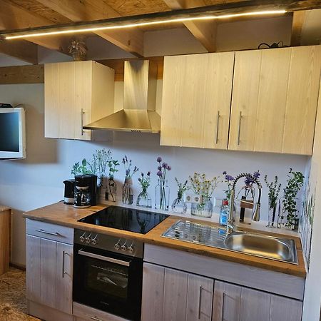 Unterkunft , Ferienwohnung Auf Dem Land, Monteurswohnung Kamenec Exteriér fotografie